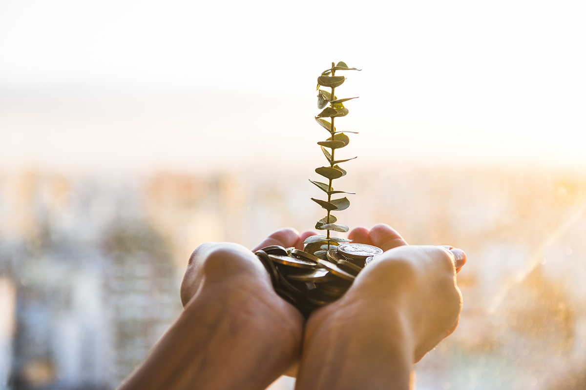 grow